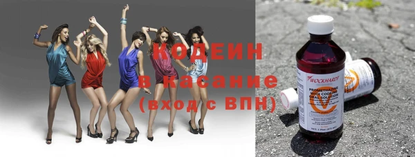 прущий лед Богданович
