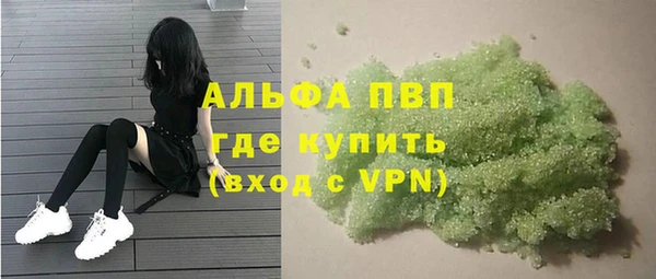 прущий лед Богданович