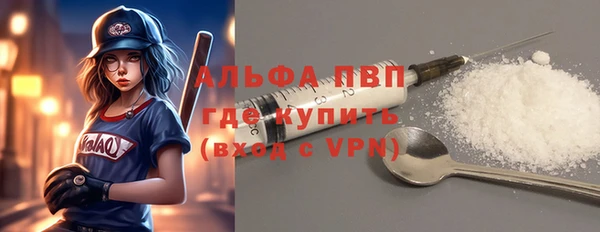 прущий лед Богданович