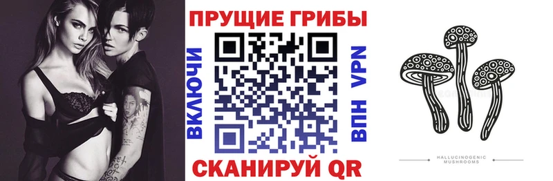 Псилоцибиновые грибы мухоморы  Шлиссельбург 